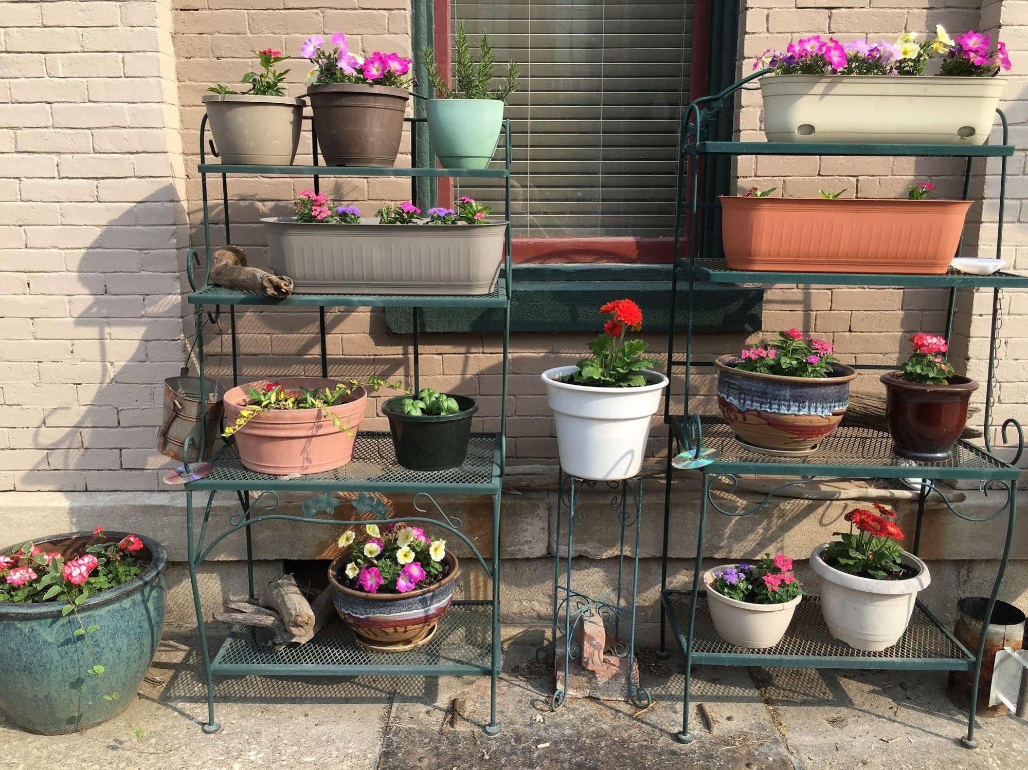 Main Street Bed and breakfast 3*